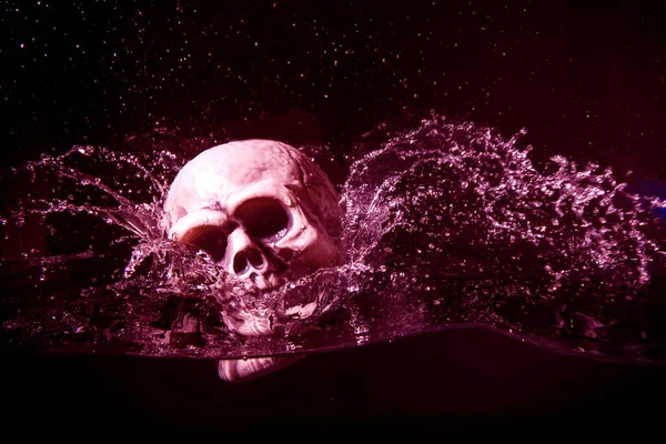 Human Plastic Skull Falling Water Isolated Black Background — Stock Photo, Image