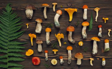 Ahşap rustik arka plan üzerinde taze mantar.