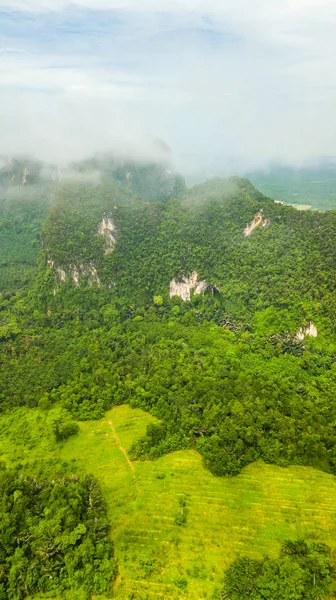 Paisaje Montaña Krabi Tailandia — Foto de Stock