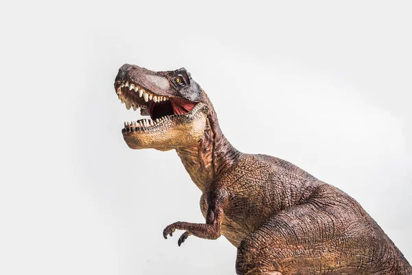 Dinozaur Rex Tyrannosaurus Białym Tle — Zdjęcie stockowe