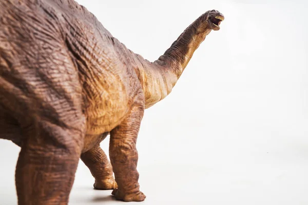 Dinosaur Apatosaurus White Background — Stock Photo, Image