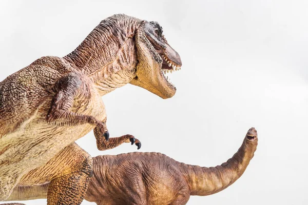 Dinosaurier Tyrannosaurus Mit Apatosaurus Auf Weißem Hintergrund — Stockfoto