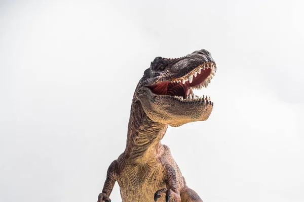 Tyrannosaurusra Rex Fehér Háttér — Stock Fotó