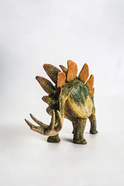 Dinosaurio Stegosaurus Sobre Fondo Blanco — Foto de Stock
