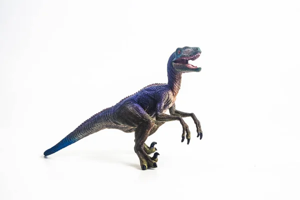 Dinosaure Velociraptor Sur Fond Blanc — Photo