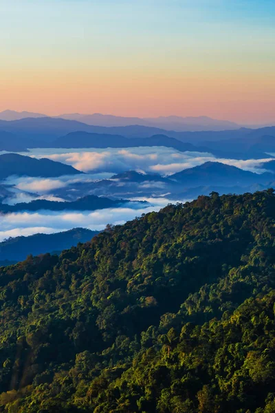 Fjellandskap Med Tåke Nan Provinsen Thailand – stockfoto