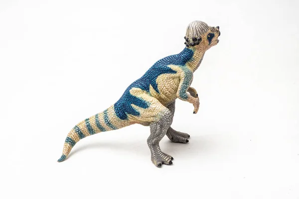 Paquicefalossauro Dinossauro Sobre Fundo Branco — Fotografia de Stock