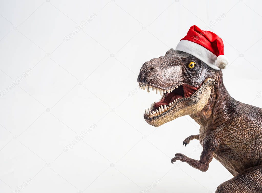 dinosaur , T-rex with Christmas hat  , Tyrannosaurus on white background .
