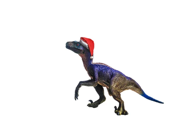 Dinosaur Velociraptor Christmas Hat White Background — Stock Photo, Image