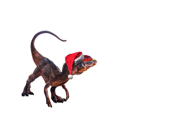 白い背景の上のクリスマス帽子ディロフォサウルス — ストック写真