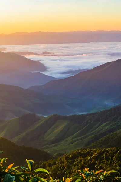 Paisaje Montaña Con Niebla Provincia Nan Tailandia — Foto de Stock