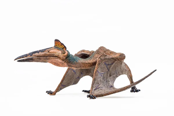 Quetzalcoatlus Dinosaurus Witte Achtergrond — Stockfoto