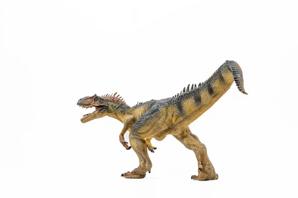 白い背景に恐竜アロサウルス — ストック写真