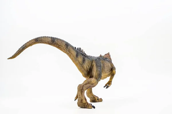 Allosaurus Dinosaura Bílém Pozadí — Stock fotografie