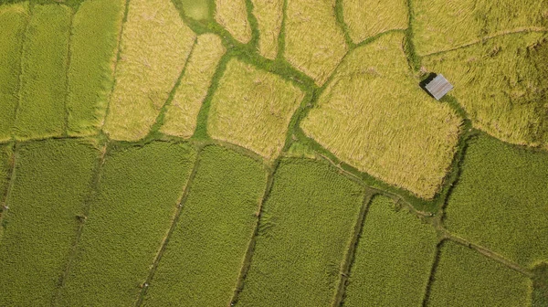 Tayland Alanının Yüksek Açılı Görünüş — Stok fotoğraf