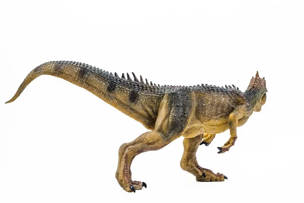 Allosaurus Dinosaur Witte Achtergrond — Stockfoto