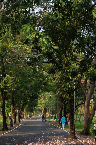 Paisagem Árvore Parque — Fotografia de Stock