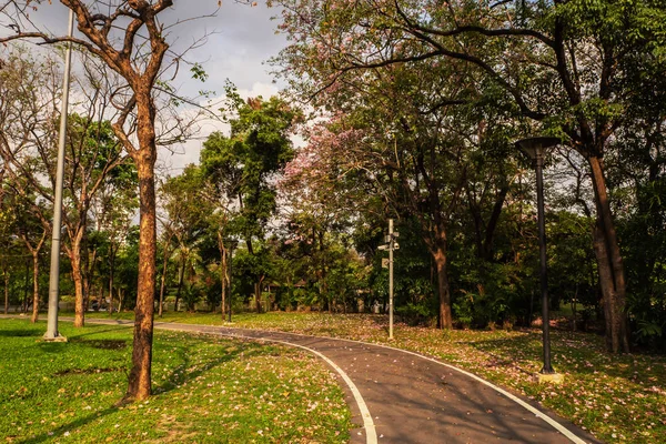 Baumlandschaft Park — Stockfoto