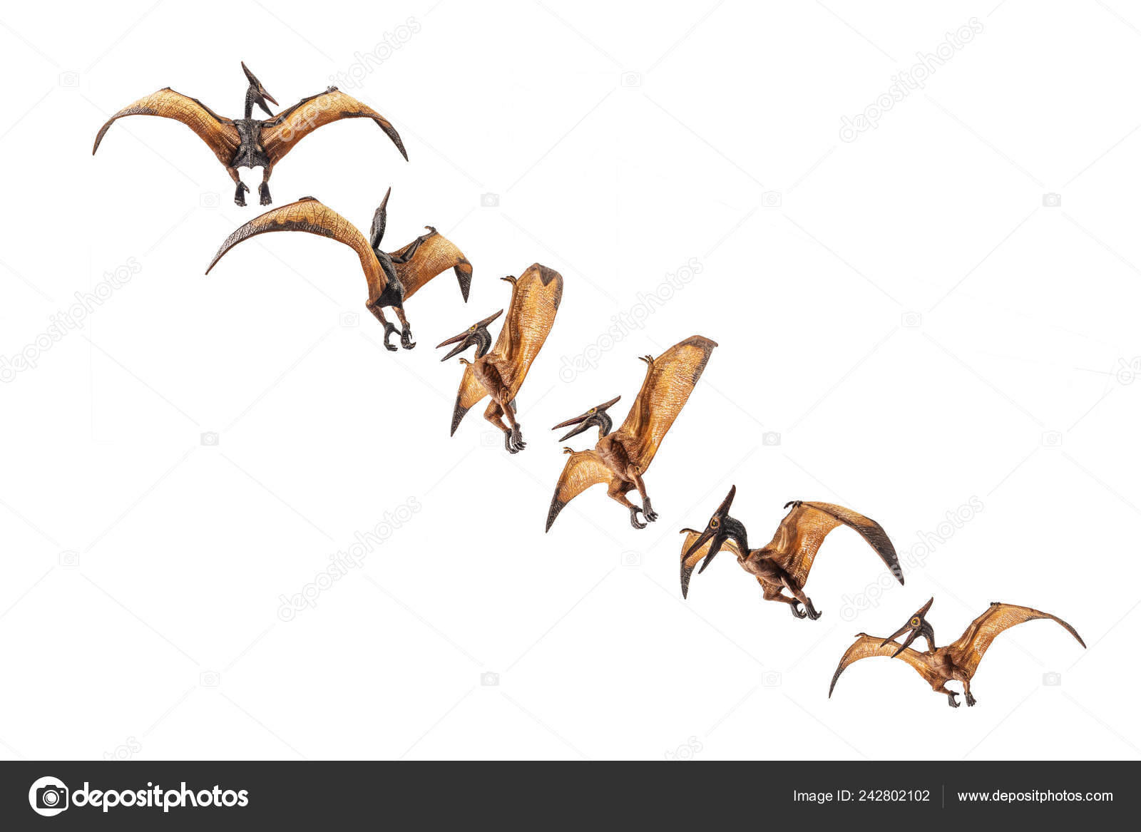 Pteranodon Pterodactyl Dinosaur on white background 8843957 PNG