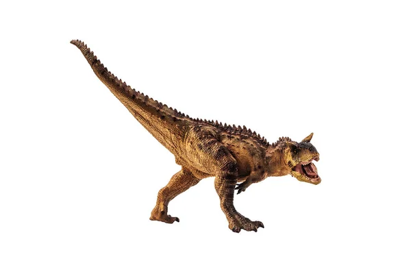 Carnotaurus Δεινόσαυρος Λευκό Φόντο — Φωτογραφία Αρχείου