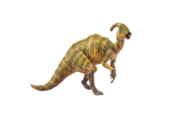 Dinossauro Parasaurolophus Fundo Branco — Fotografia de Stock