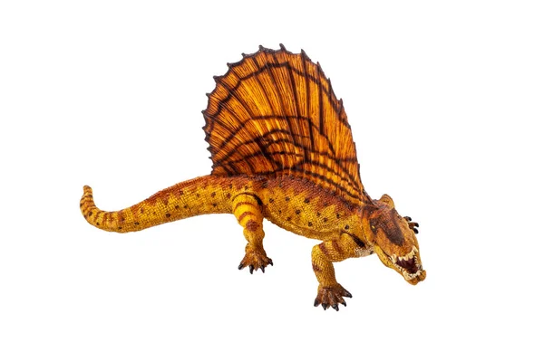 Dimetrodon Dinosaur White Background — Stock Photo, Image