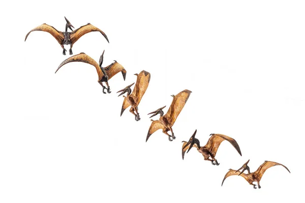 Pteranodon Szárnyas Gyík Dinoszaurusz Fehér Háttér — Stock Fotó