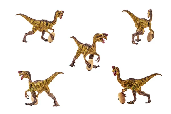 Dinosaurio Oviraptor Sobre Fondo Blanco — Foto de Stock