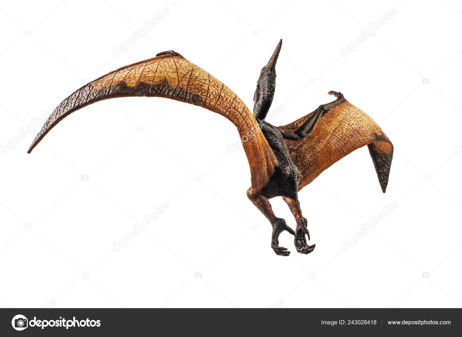 Pterodactyl Or Pteranodon Dinosaur Isolated Over White Stock Photo