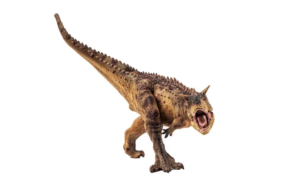 Dinosaurio Carnotaurus Sobre Fondo Blanco — Foto de Stock