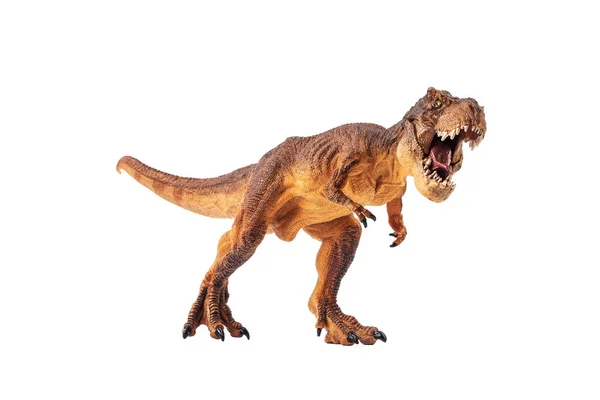 Tyrannosaurus rex, Dinosaurio sobre fondo blanco — Foto de Stock