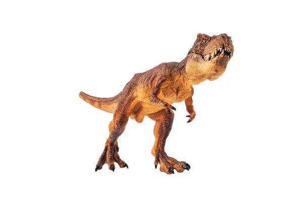 Tyrannosaurus rex, Dinosaurio sobre fondo blanco — Foto de Stock