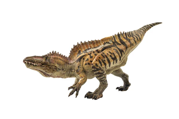 Acrocanthosaurus, динозавр на білому тлі — стокове фото