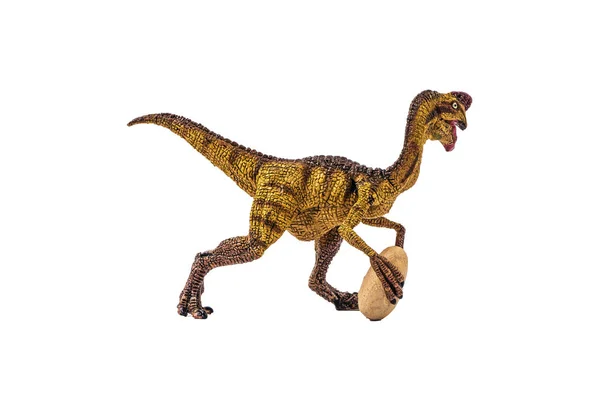 Oviraptor Dinosaure sur fond blanc — Photo