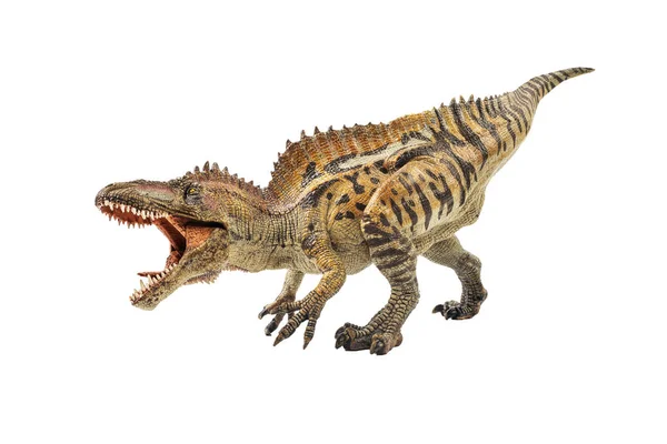 Acrocanthosaurus, 흰색 바탕에 공룡 — 스톡 사진