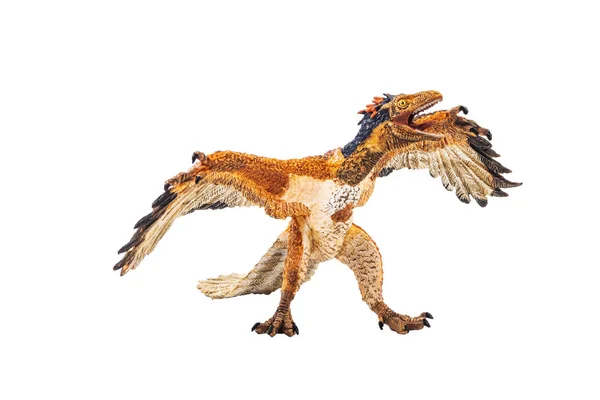 Археоптерикс, динозавр на белом фоне — стоковое фото
