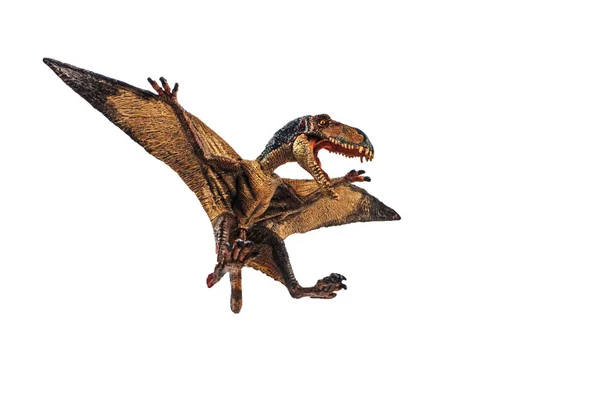 Dinossauro Dimorphodon em fundo branco — Fotografia de Stock