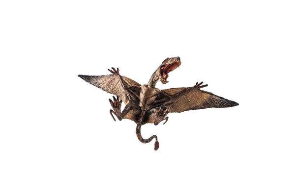 Pteranodon Pterodactyl Dinosaur on white background 8843960 PNG