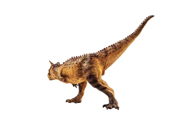 Carnotaurus Dinosaure sur fond blanc — Photo