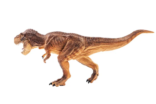 Tyrannosaurus rex, Dinosauro su sfondo bianco — Foto Stock