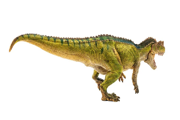 Ceratosaurus, dinosaura na bílém pozadí — Stock fotografie