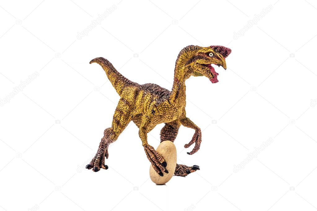 Oviraptor  Dinosaur on white background  