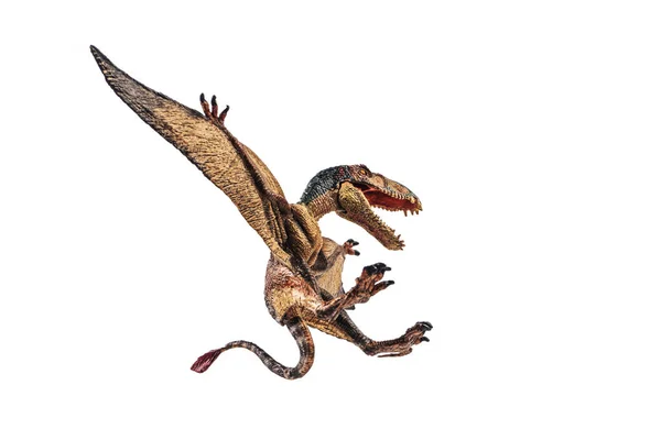 Dimorphodon динозаврів на білому тлі — стокове фото