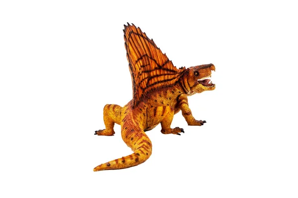 Dimetrodon  Dinosaur on white background — Stock Photo, Image