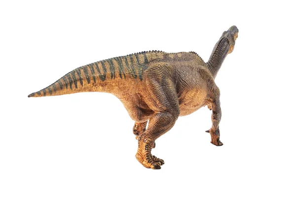 Fehér alapon dinoszaurusz, az Iguanodon — Stock Fotó