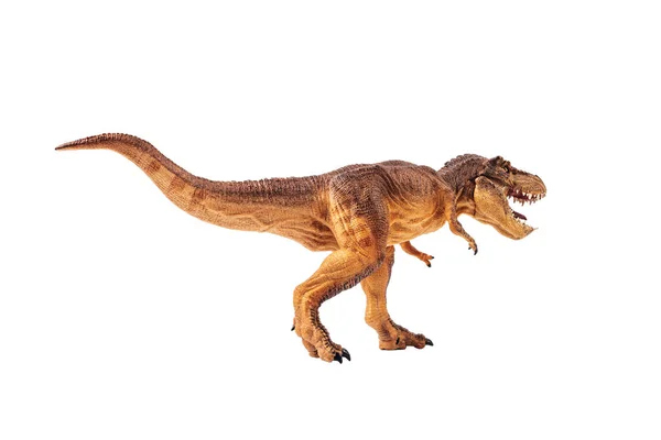 Тираннозавр рекс, динозавр на белом фоне — стоковое фото