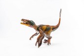 Tollas Velociraptor dinoszaurusz fehér alapon 