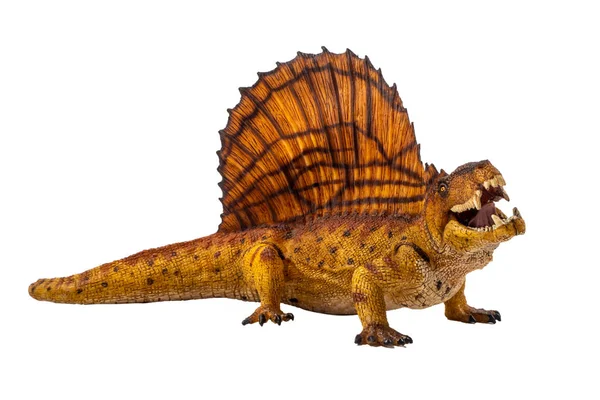 Dimetrodon динозаврів на білому тлі — стокове фото