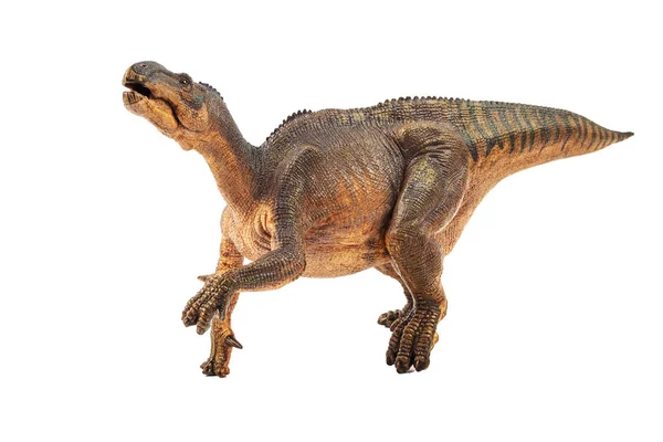 Fehér alapon dinoszaurusz, az Iguanodon — Stock Fotó