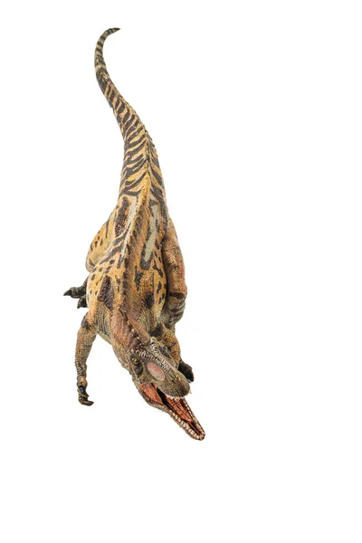 Acrocanthosaurus, динозавр на білому тлі — стокове фото